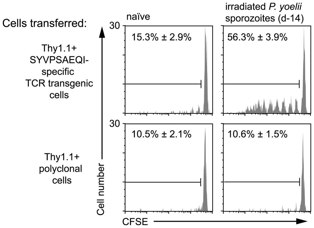 Prolonged antigen presentation after sporozoite immunization.
