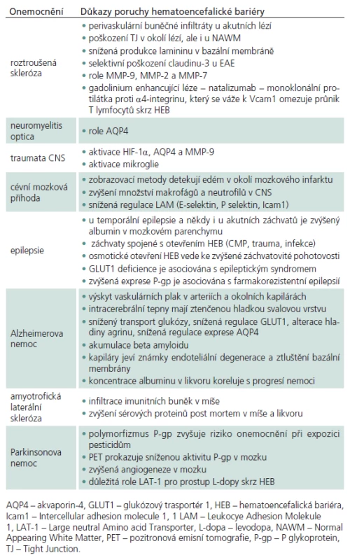 Porucha hematoencefalické bariéry u některých neurologických onemocnění.