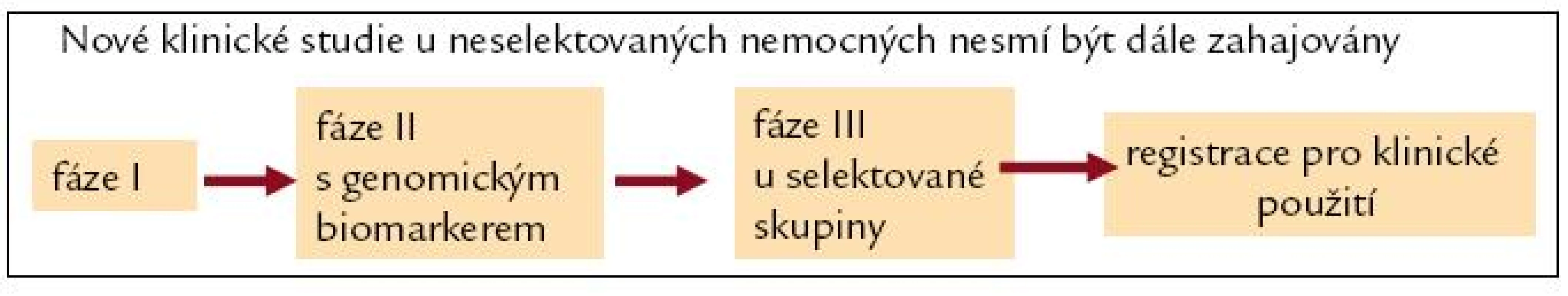 Uspořádání klinických studií s novými léky v éře personalizované medicíny.