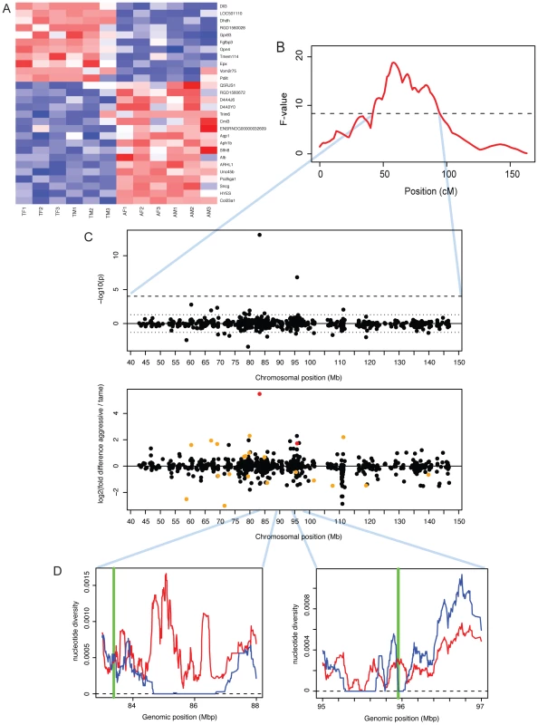 Expression differences between tame and aggressive rats.