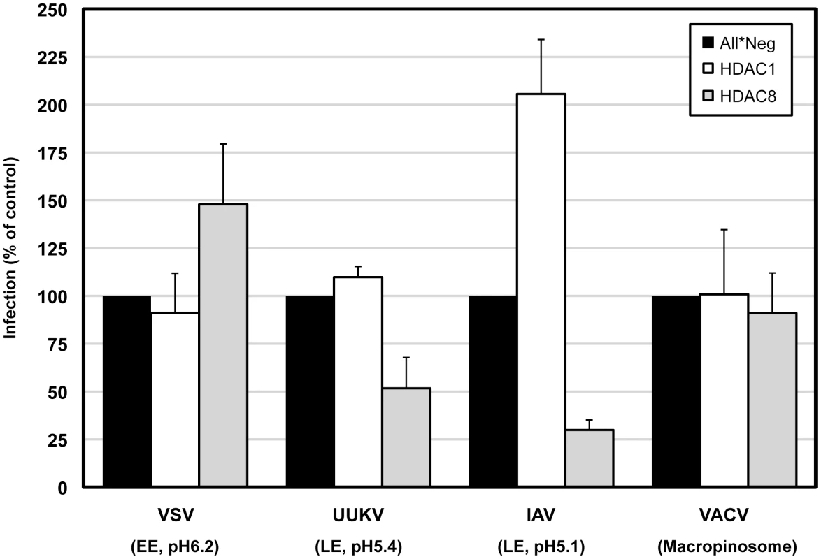 HDAC8 is required for infection of late-penetrating viruses.