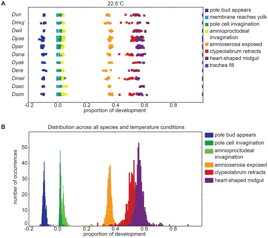 Proportionality of developmental stages is not affected by non-heat-stress temperatures.