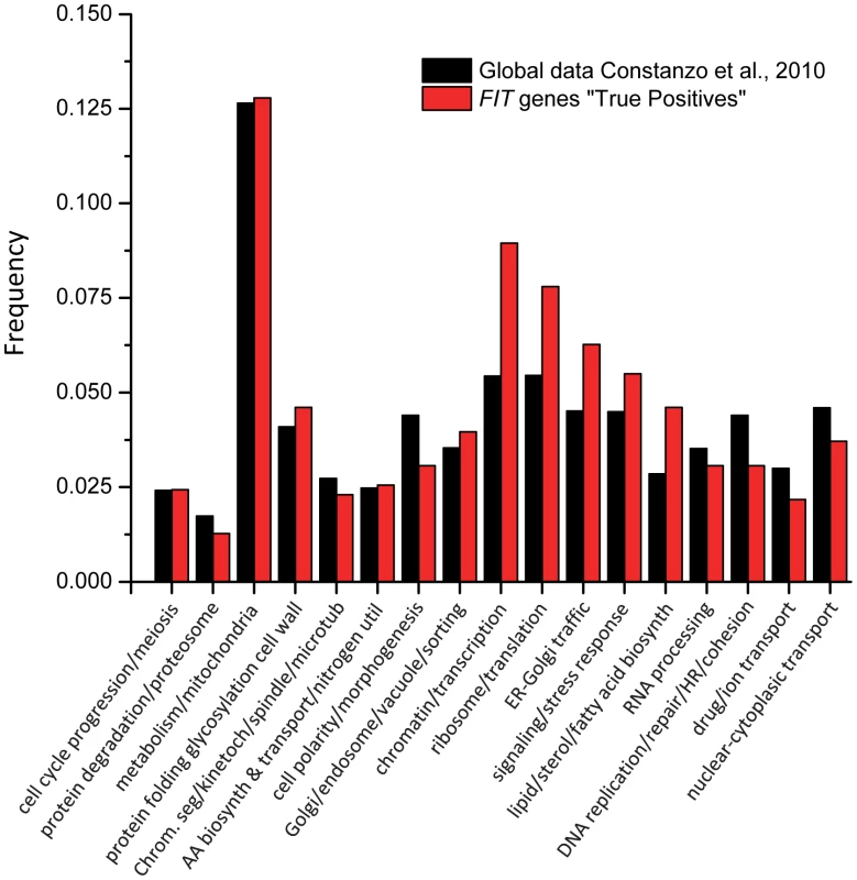 Enrichment of GO bioprocess terms among genes that have genetic interactions with <i>SCS3</i> and/or <i>YFT2</i>.