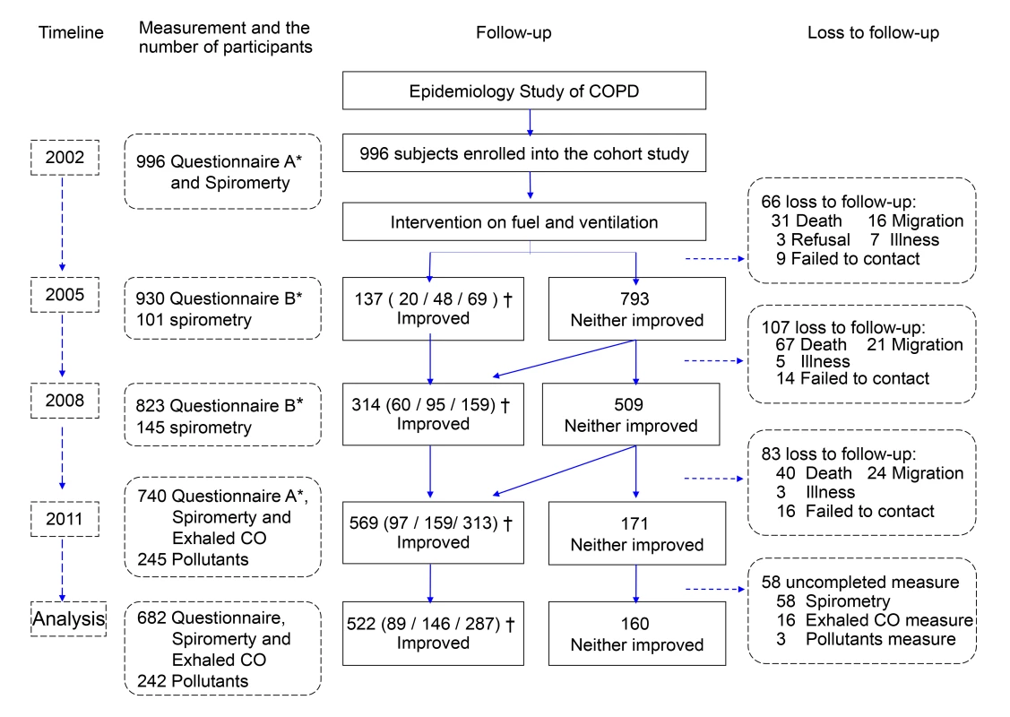 Study cohort flow chart.