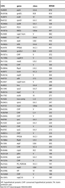 Ranking of the most abundant coding transcripts in exponential phase.