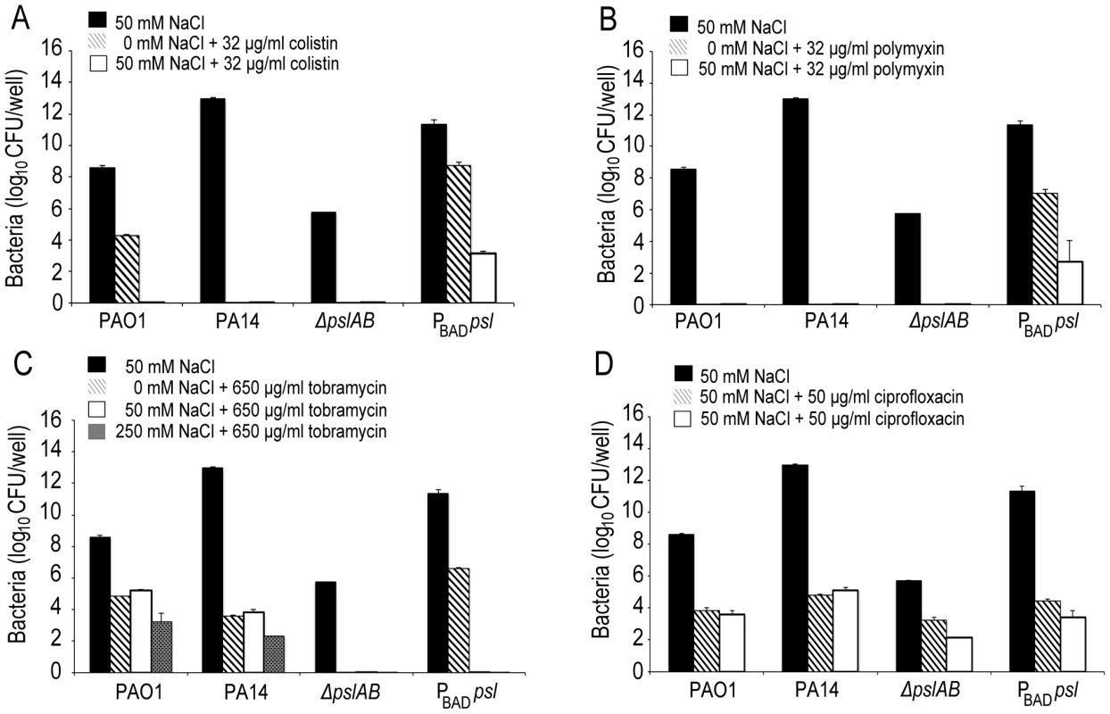 Ionic strength of the challenge medium influences biofilm susceptibility to positively charged antibiotics.
