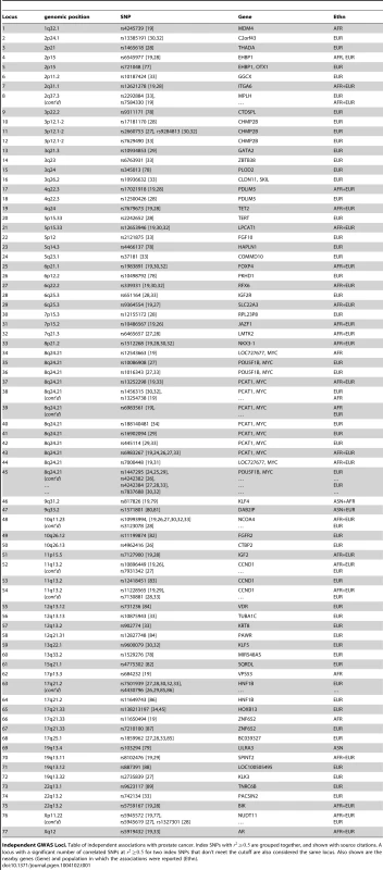Independent risk loci.