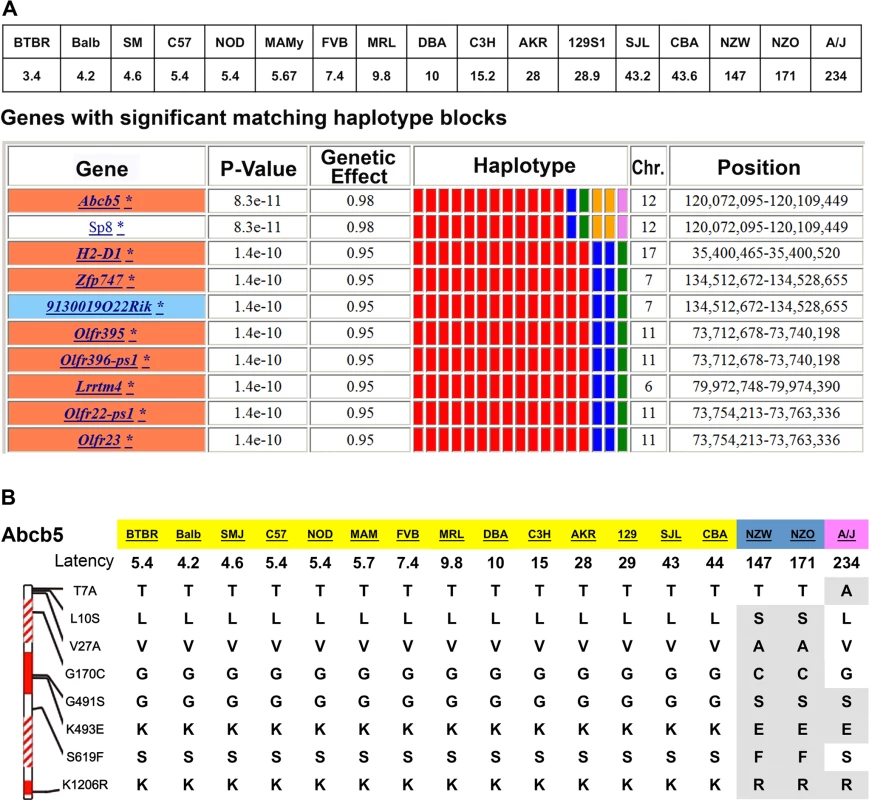 A pharmacogenetic factor for HIT.