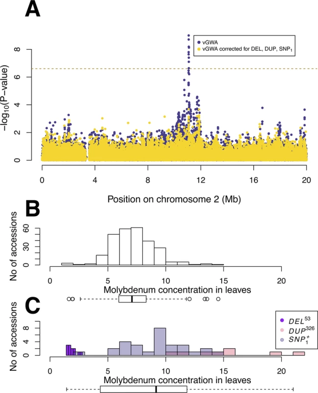 The genetic variance-heterogeneity across vBLOCK emerges from a multi-locus, multi-allelic genetic architecture.