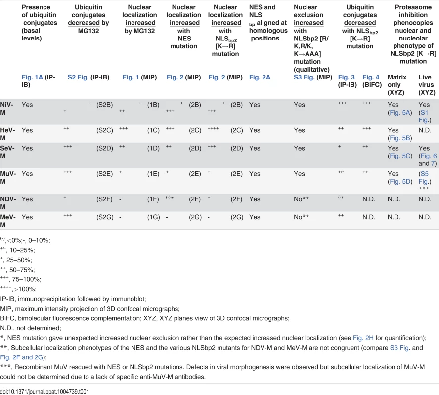 Summary of Paramyxovirinae matrix protein nuclear trafficking phenotypes.