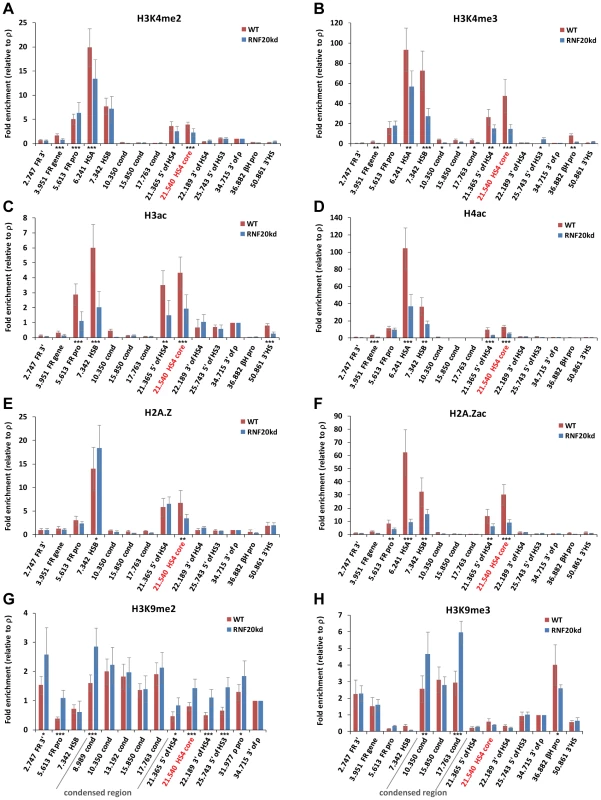 Loss of H2B ubiquitination results in a rapid loss of active histone modifications at the HS4 insulator.