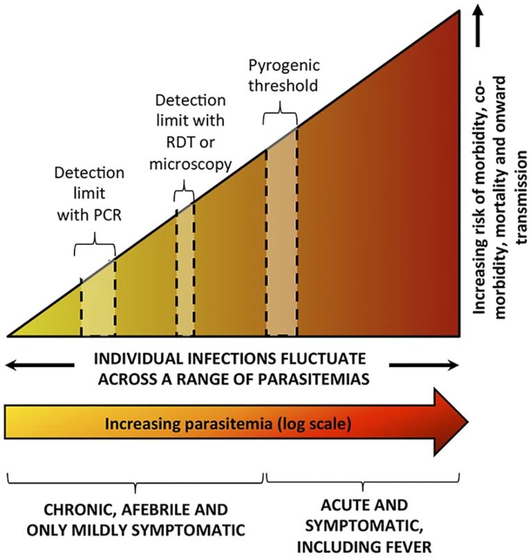 Spectrum of malaria infection.