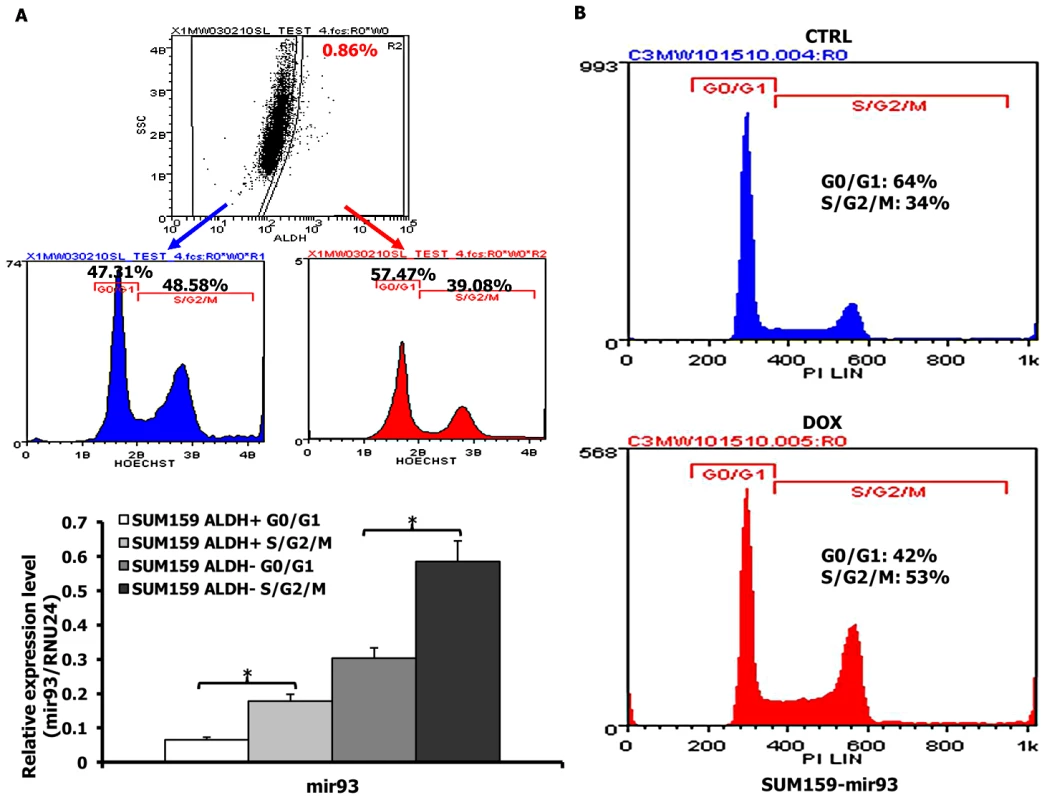 mir-93 regulates the cell cycle in SUM159 cells.