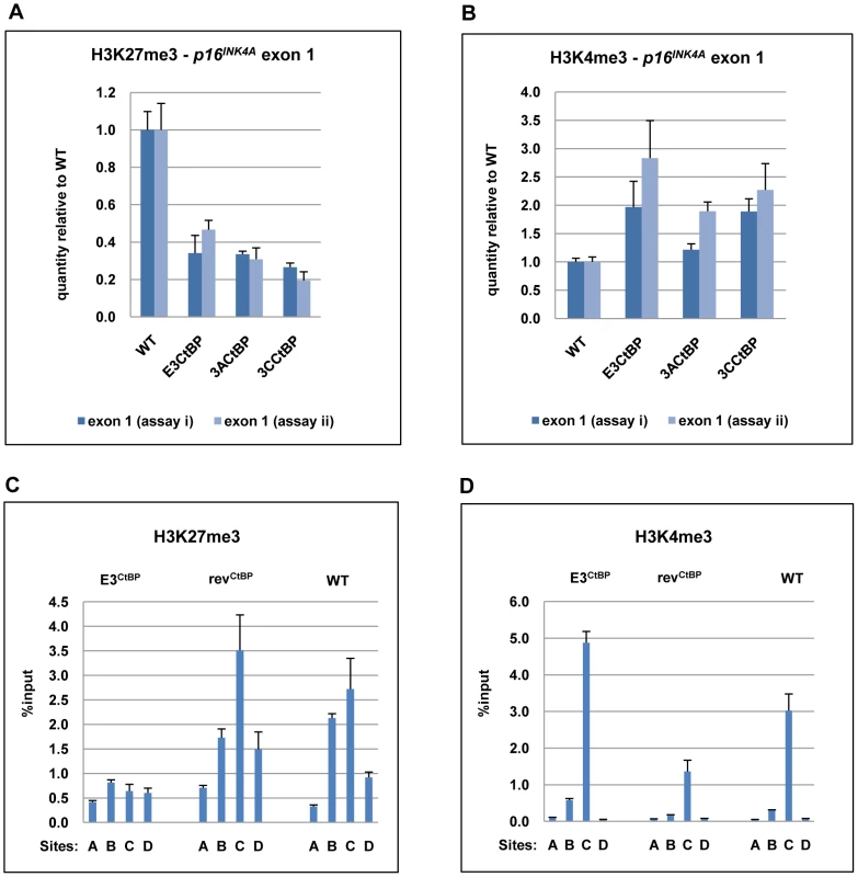 The interaction of EBNA3A and EBNA3C with CtBP is necessary for the chromatin remodelling associated with the repression of <i>p16<sup>INK4A</sup>.</i>