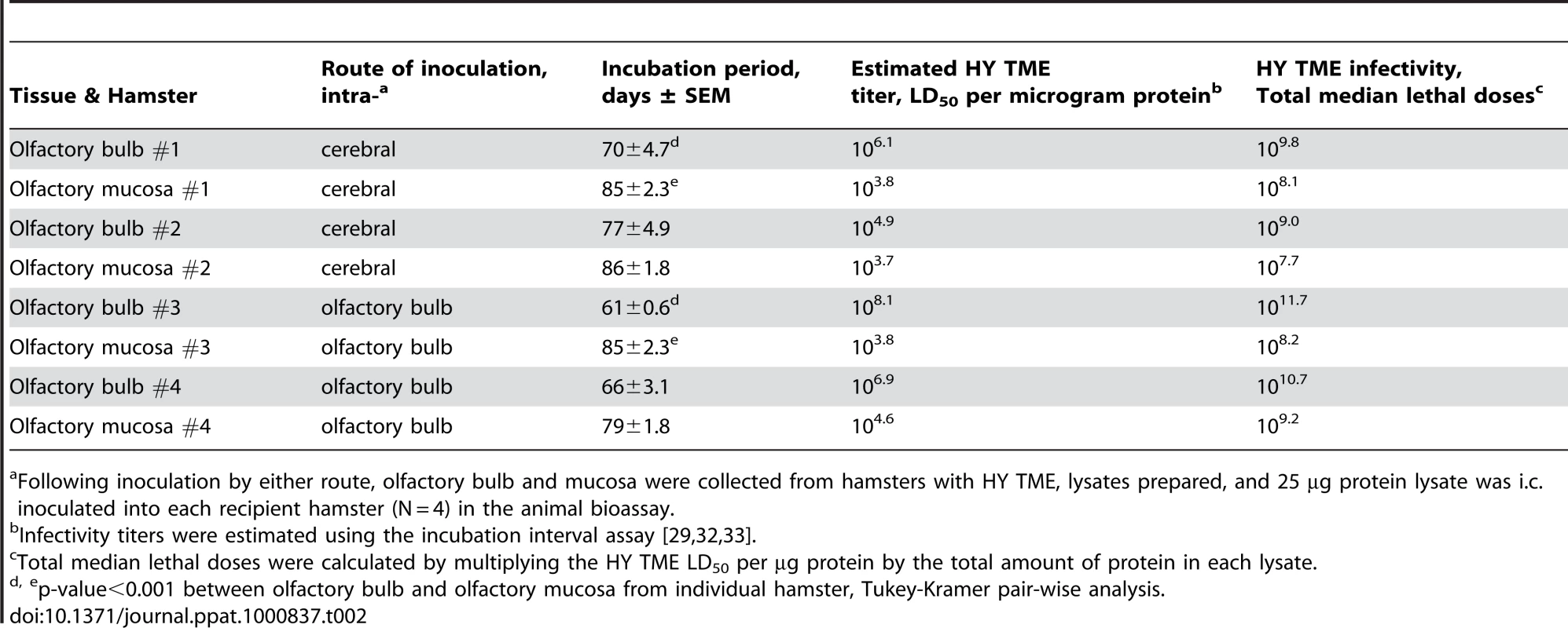 Prion infectivity of olfactory bulb and olfactory mucosa lysates following HY TME inoculation.