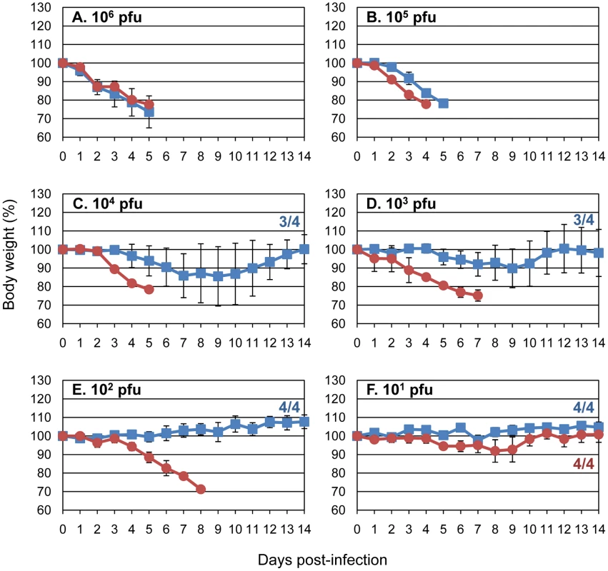 Amino acid PB2-591K increases the virulence of an avian H5N1 virus in mice.