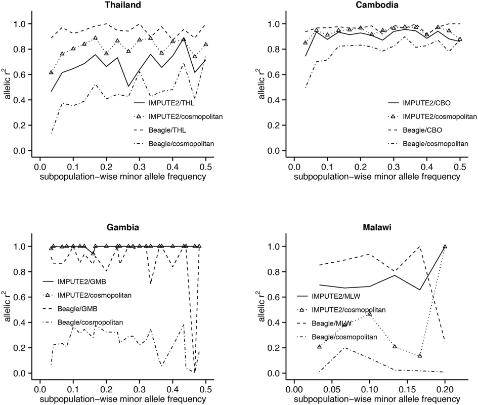 Relationship between imputation accuracy and minor allele frequency (MAF), tested on chromosome 13 SNPs.