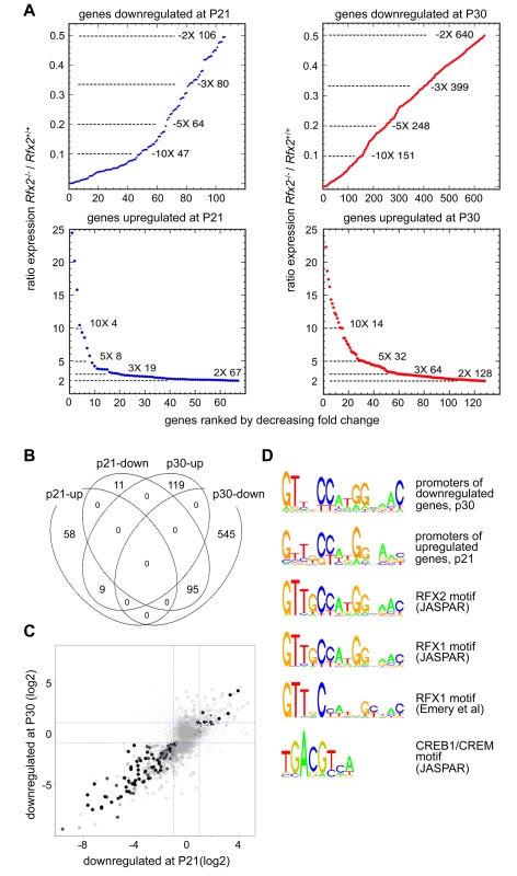Perturbed gene expression in <i>Rfx2</i><sup>-/-</sup> testis.