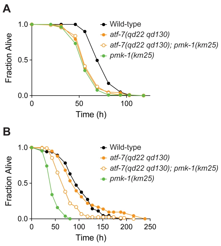 Requirement for ATF-7 in resistance to other bacterial pathogens.
