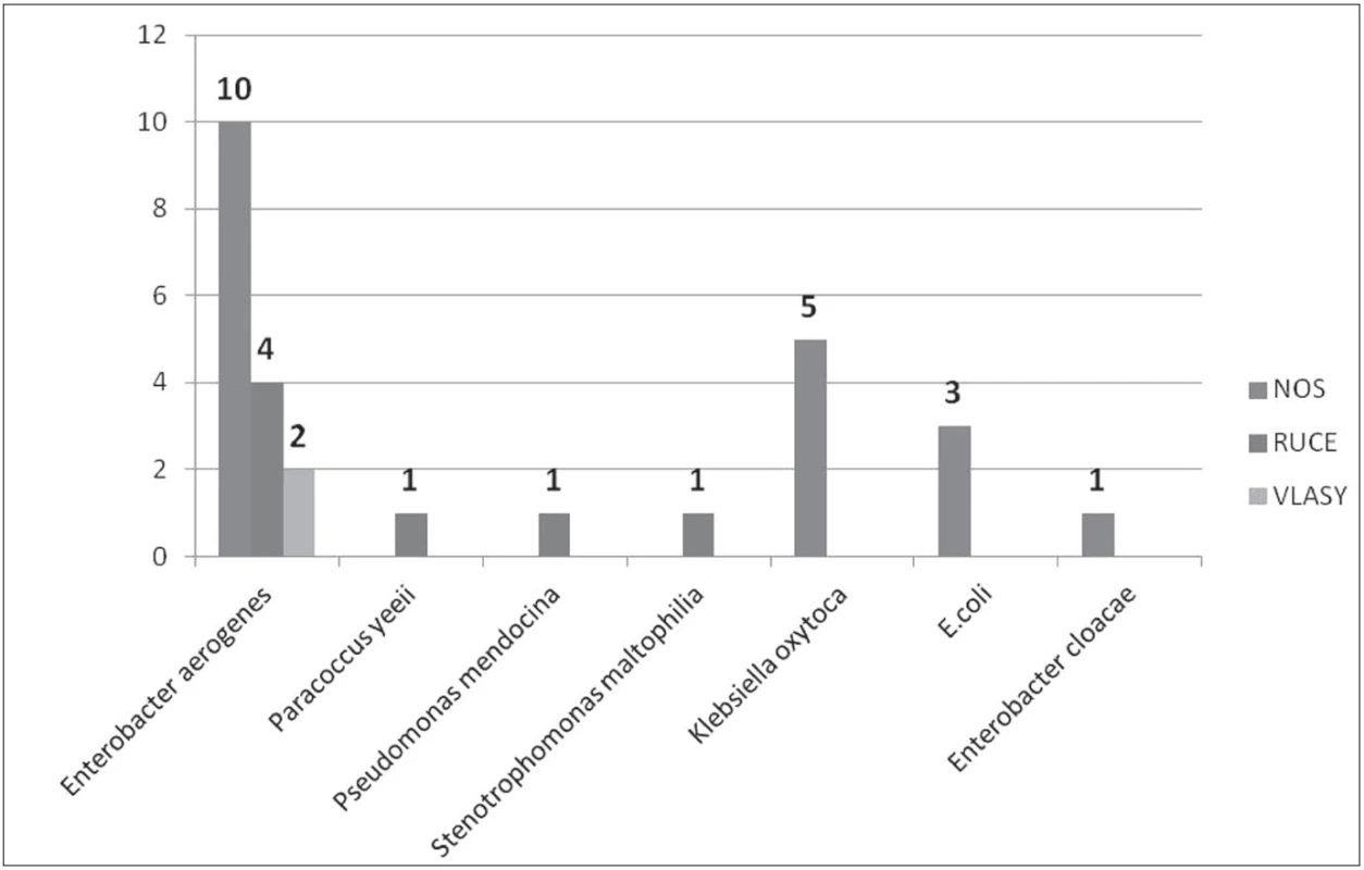 Gramnegativní bakterie izolované od ošetřujícího personálu
Fig. 3. Gram-negative bacteria recovered from health care providers