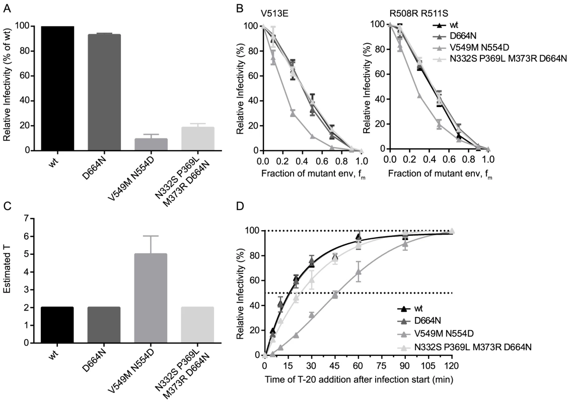 Point mutations in JR-FL dictate virus infection efficacy and entry stoichiometry.