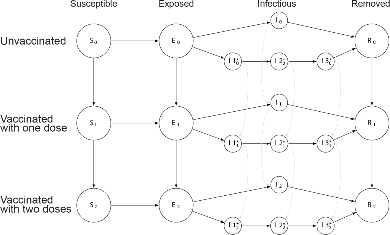 Illustration of model including fast and slow cholera transmission.