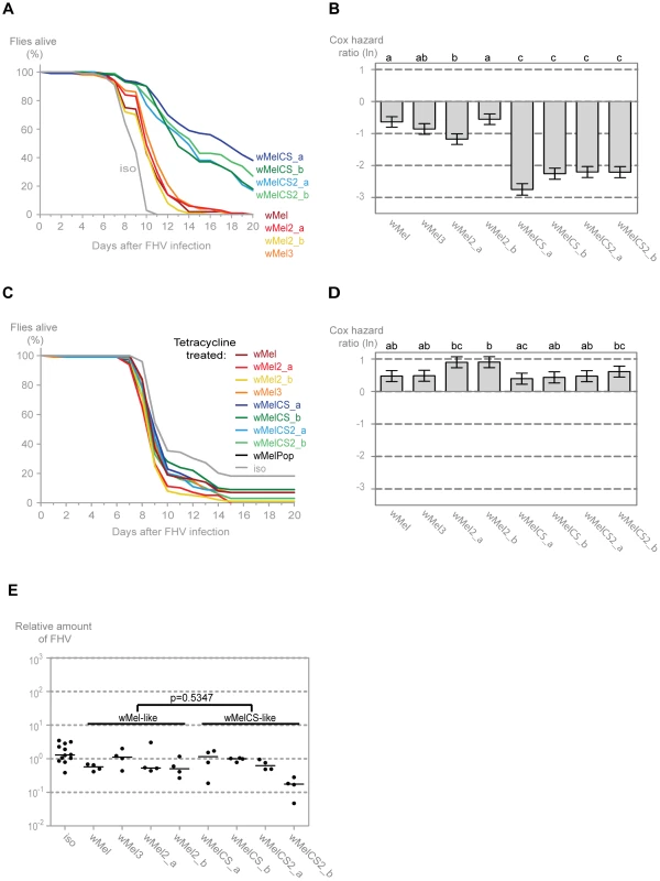 <i>Wolbachia w</i>Mel variants confer different protection to Flock house virus.