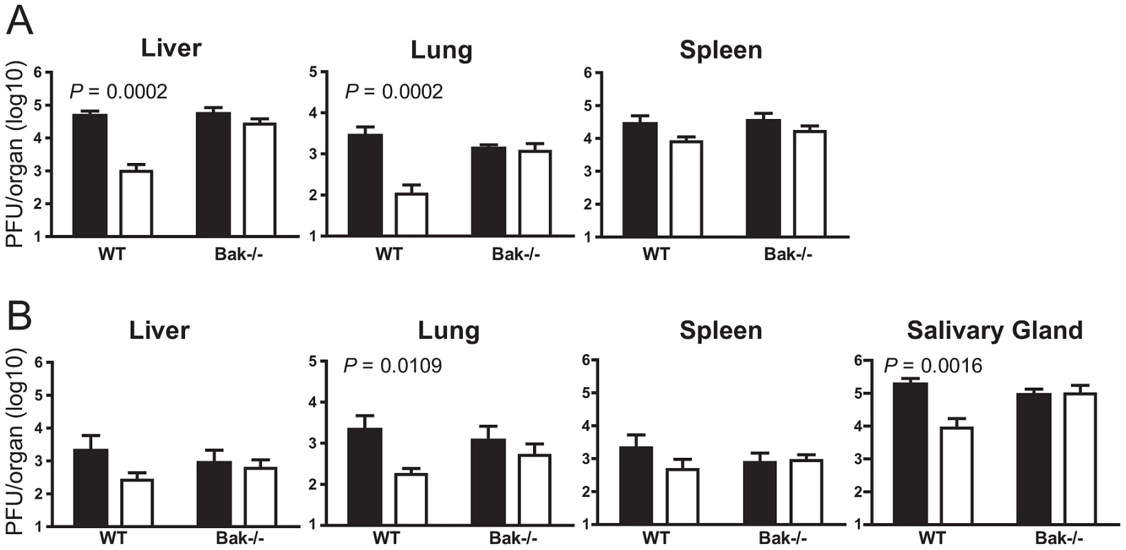 m41.1 inhibits Bak <i>in vivo</i>.