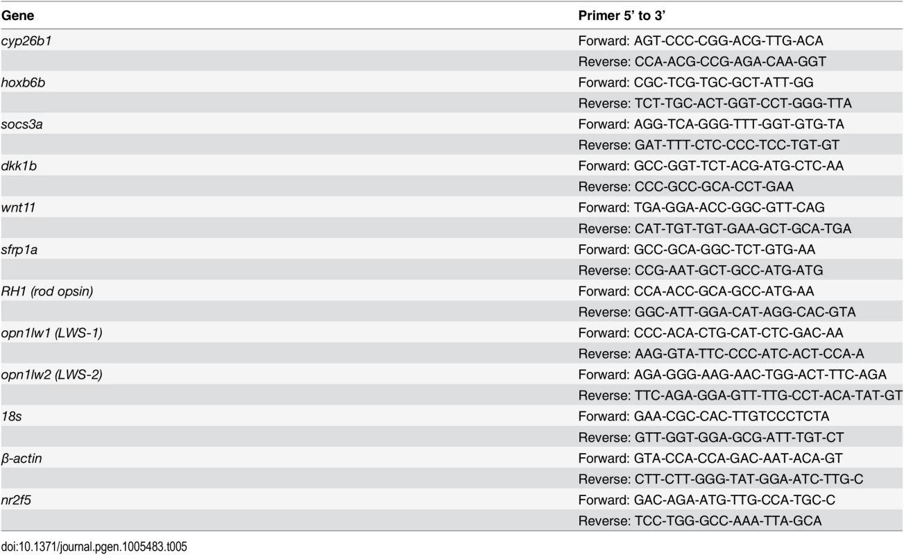 Primers used for q-RT-PCR.
