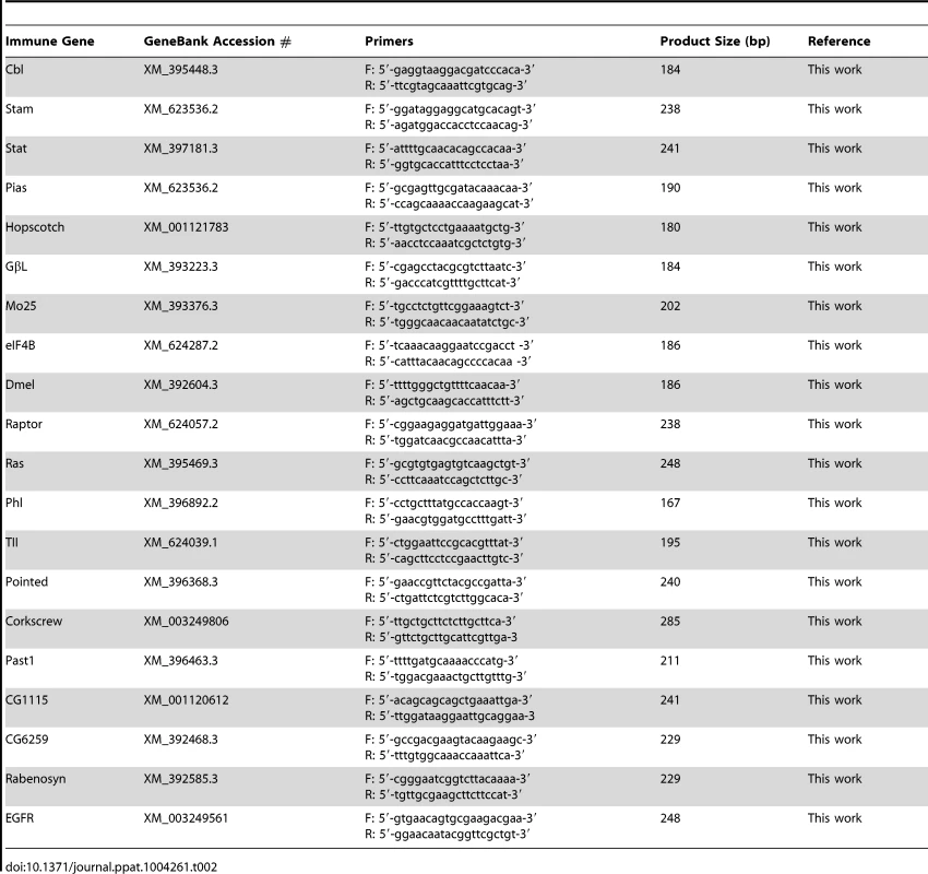 Primers of immune genes in the study.
