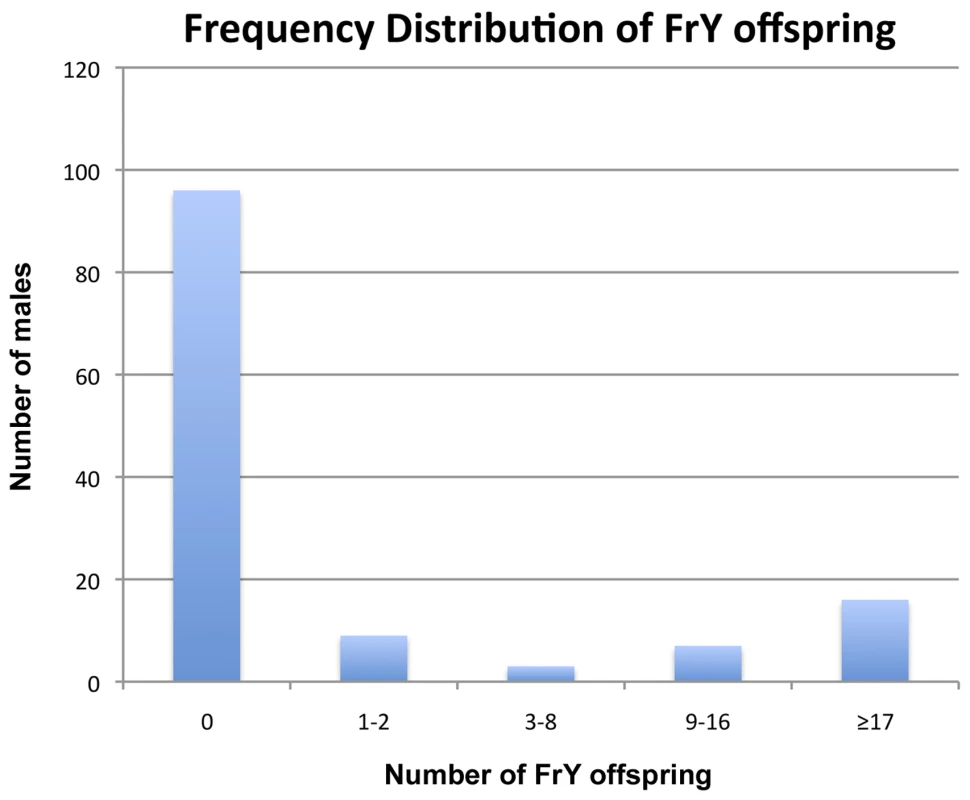 Frequency distribution of <i>FrY</i> offspring produced by individual heat-shocked <i>y w 70FLP/DcY, H1</i> males.