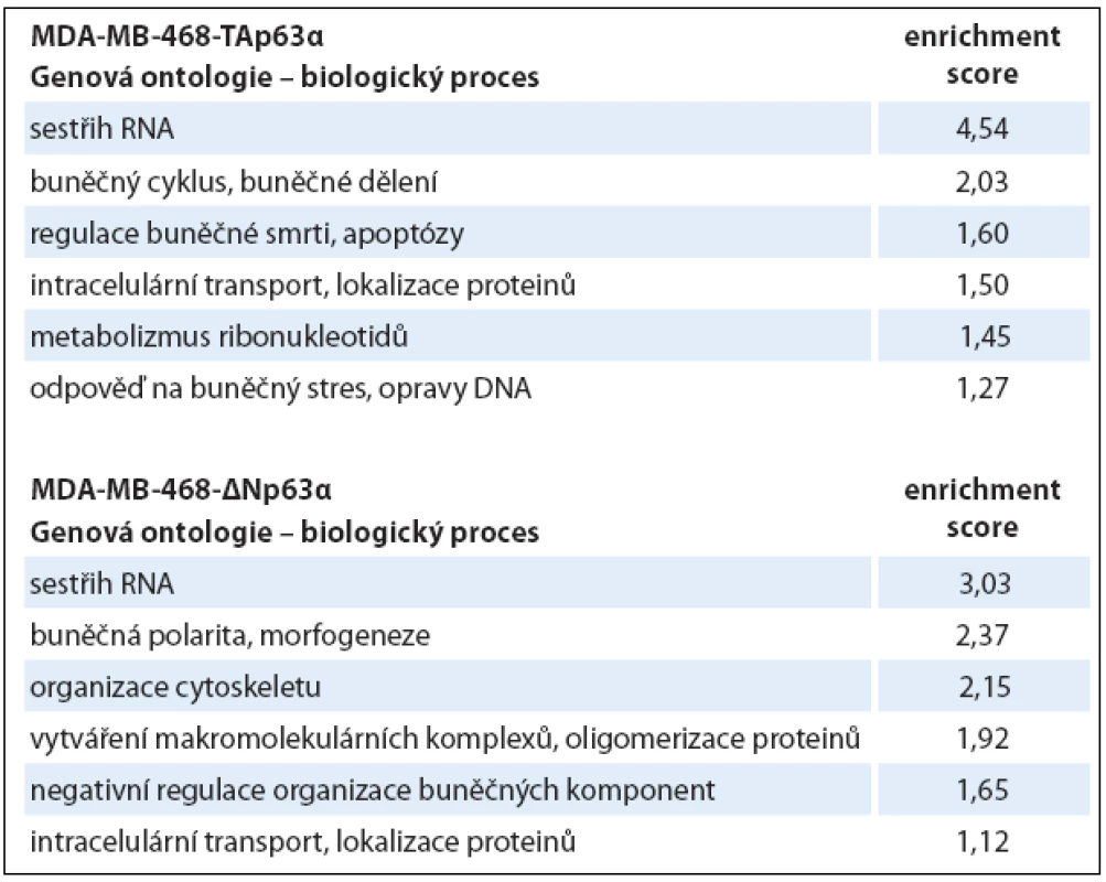 Výsledky analýzy genové ontologie.