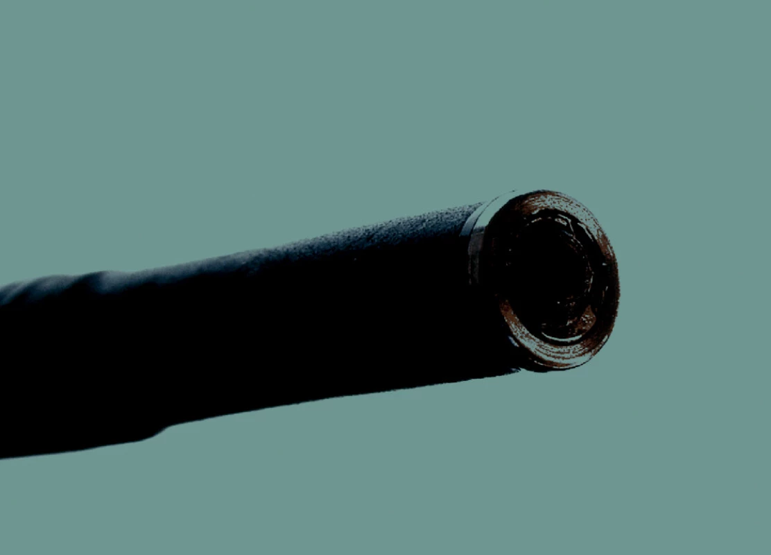 Detail endocytoskopické sondy