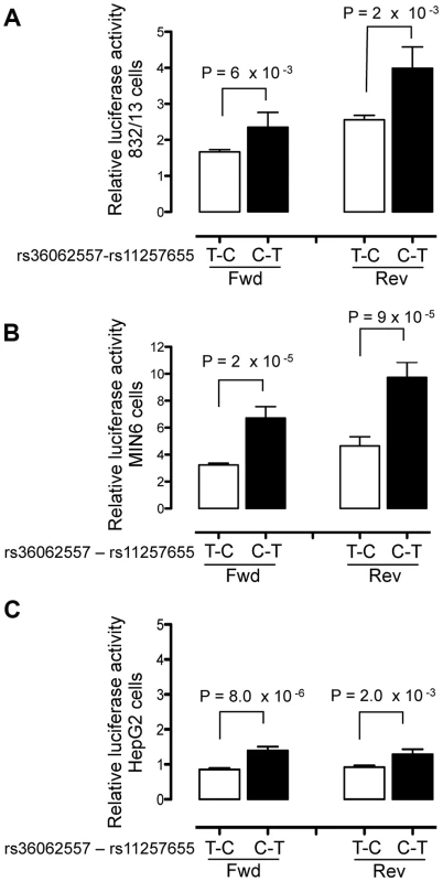 Haplotype containing type 2 diabetes-associated SNPs displays differential transcriptional activity.