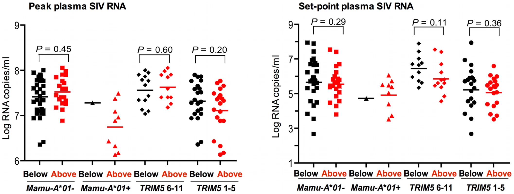 Lack of association of <i>CCL3L</i> CNV with virus replication in Indian-origin rhesus monkeys following SIVmac251 infection.