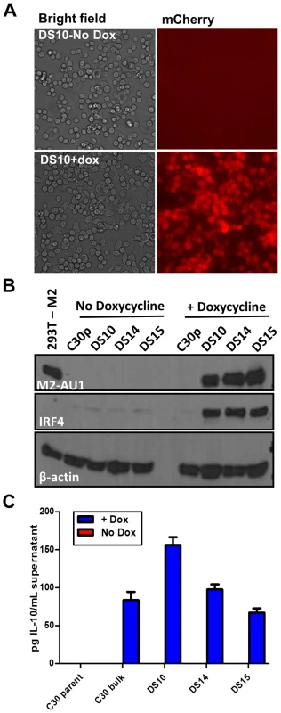 An inducible system to study M2 mediated signaling events.