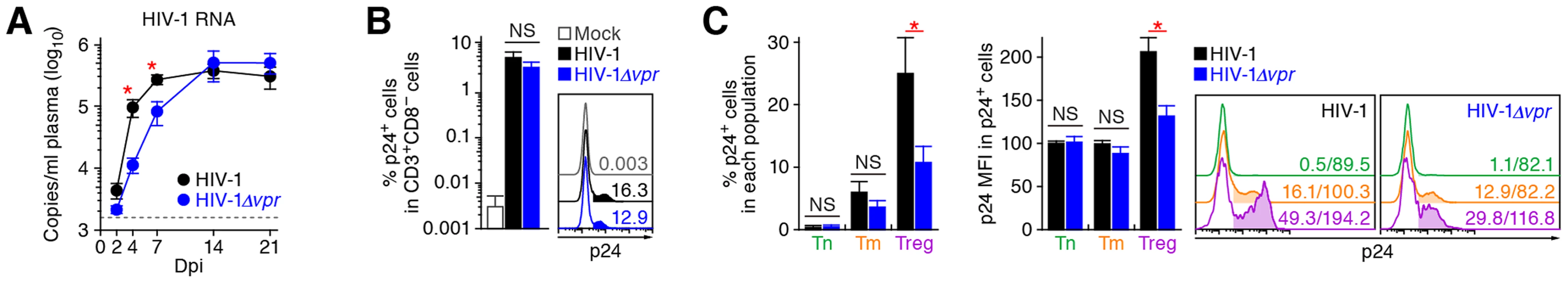Dynamics of R5 WT and <i>vpr</i>-deficient HIV-1 infection in humanized mice.
