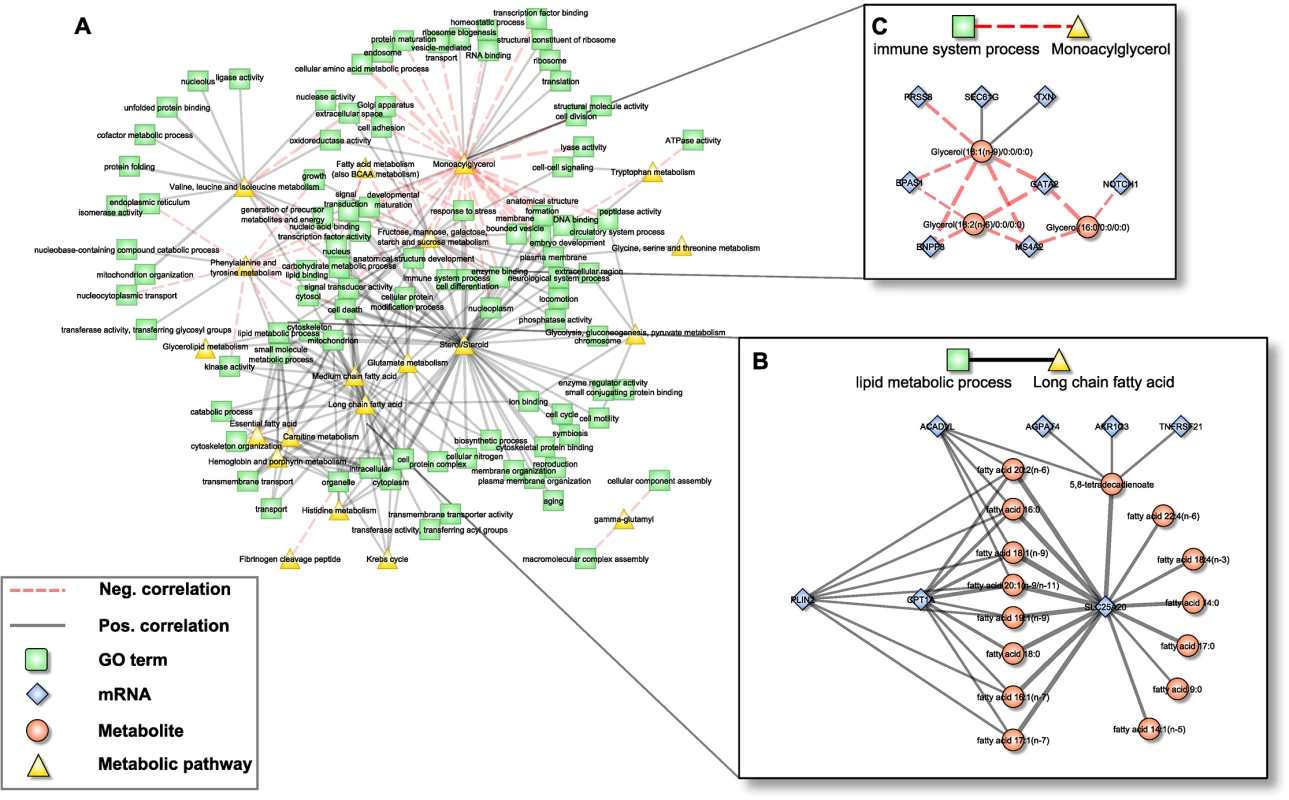 Pathway interaction network (PIN).