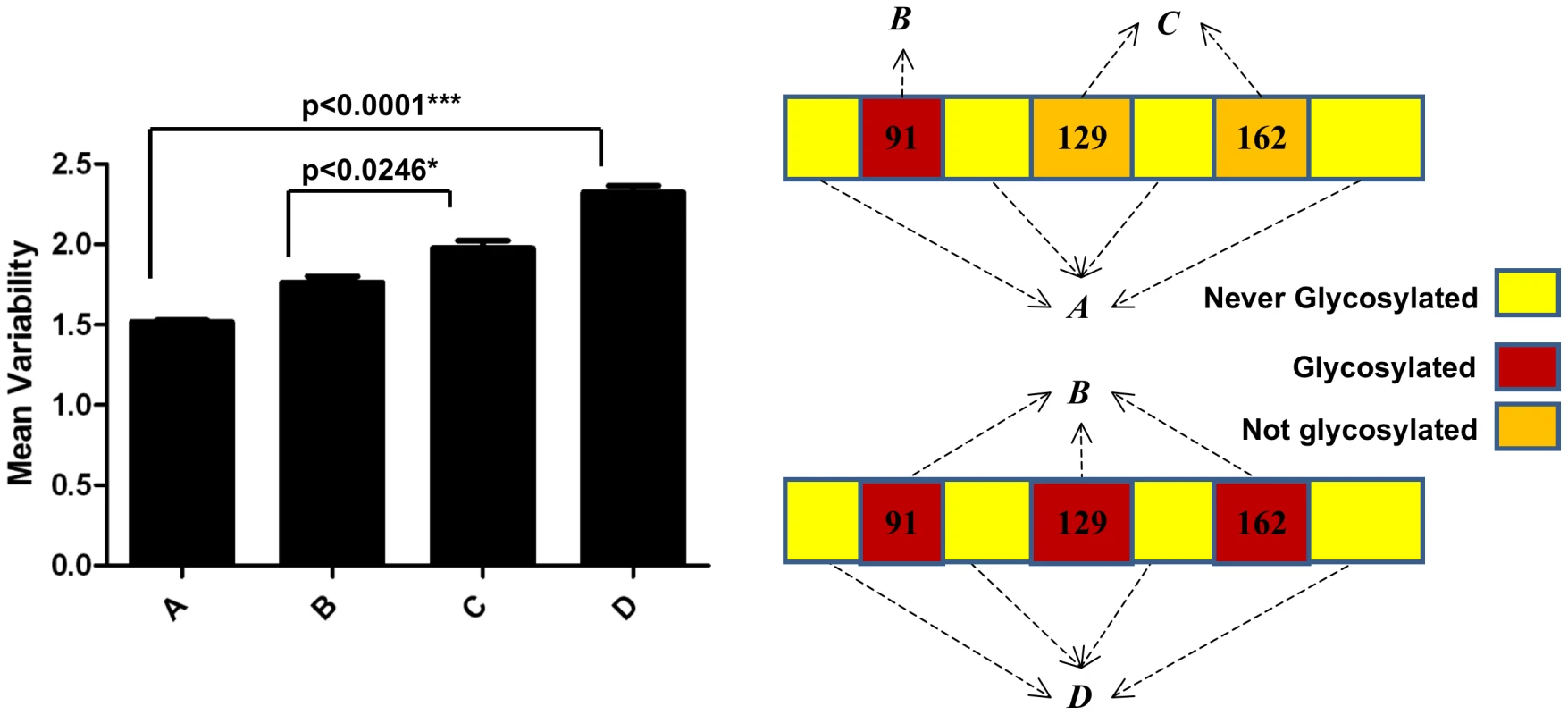 Mean values of variability of H1 globular domain.