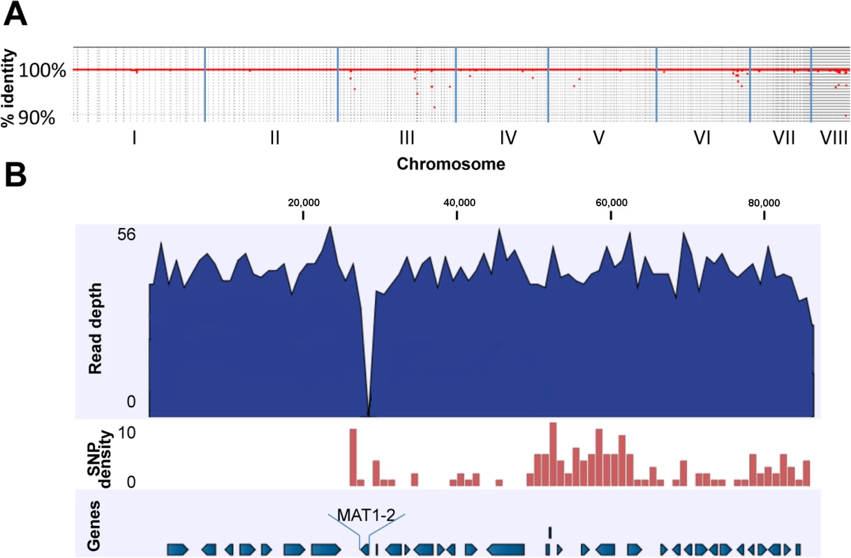 Genomic comparison of AFB62F9 and AFB62.