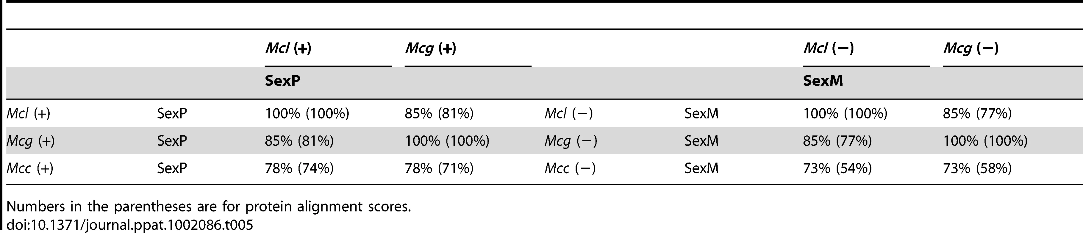 Comparison of SexP (left) and SexM (right) in the three subspecies.