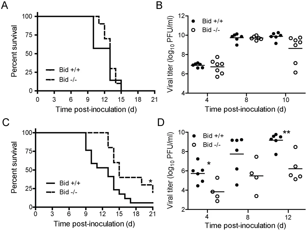 Bid modulates reovirus replication and pathogenesis following IC inoculation.
