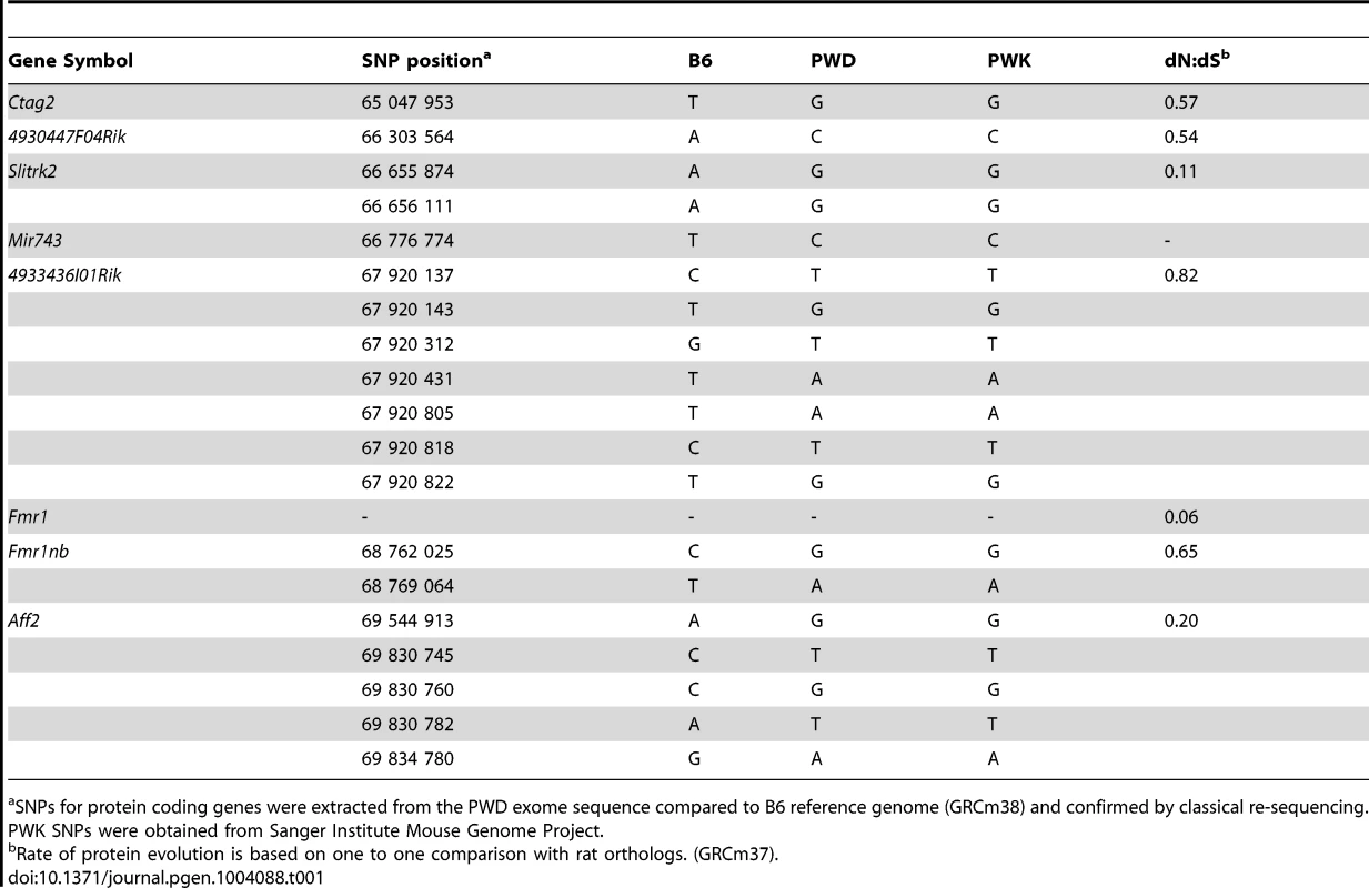 Missense SNPs of candidate genes in the <i>Hstx1/Hstx2</i> critical region on Chr X.