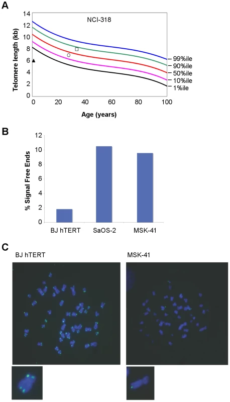 Telomere length is altered in individuals with <i>RTEL1<sup>R1264H</sup></i>.