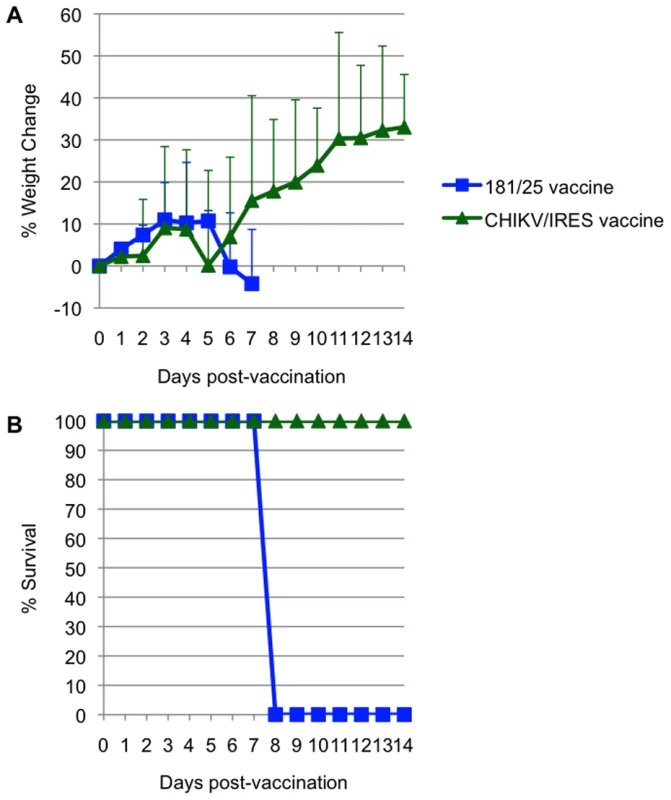 Virulence for 3-week-old A129 mice for strains 181/25 and CHIKV/IRES.