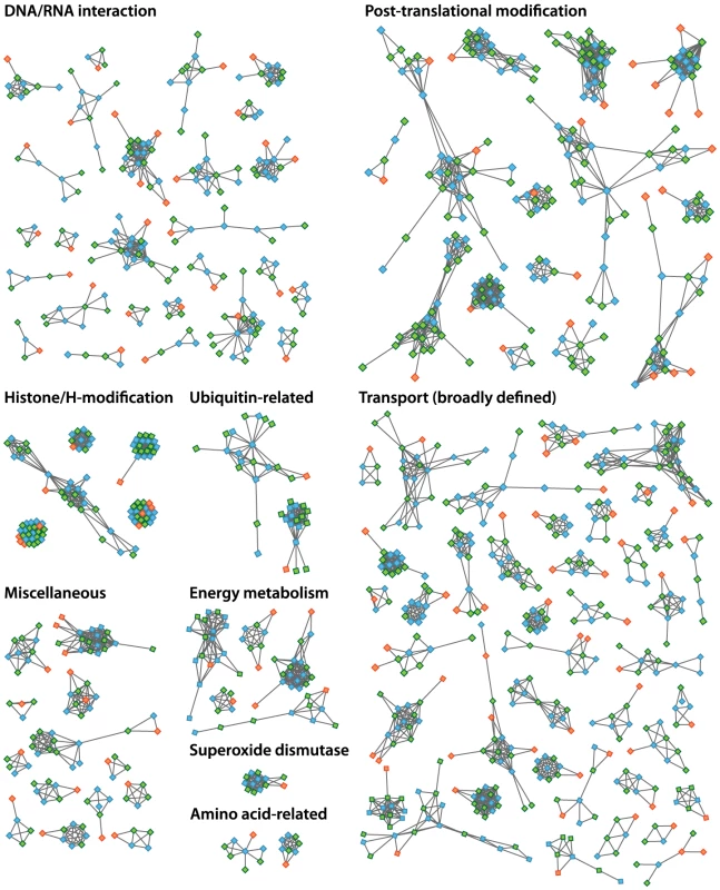 Evolutionary gene network analysis showing functional contractions in <i>Helicosporidium</i> relative to <i>Chlorella</i> and <i>Coccomyxa</i>.