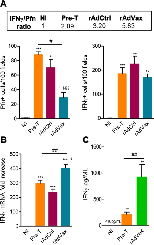 rAdVax immunotherapy increased IFNγ expression in the heart tissue and in the serum.