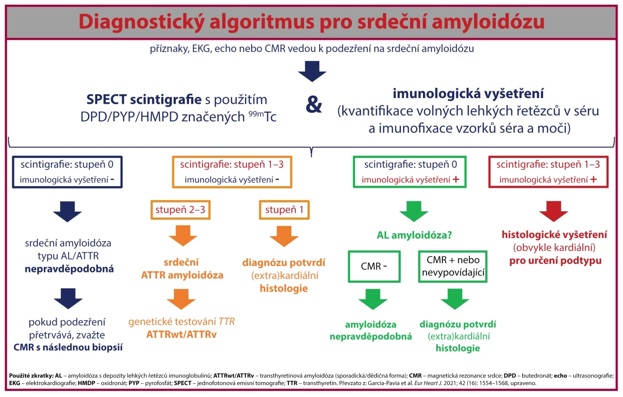 Diagnostic Algorithm for Cardiac Amyloidosis