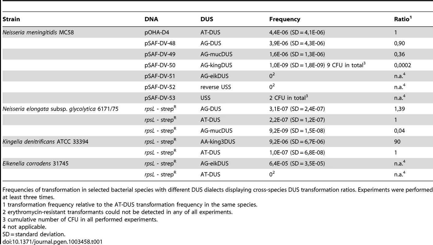 DUS–dependent transformation frequencies.