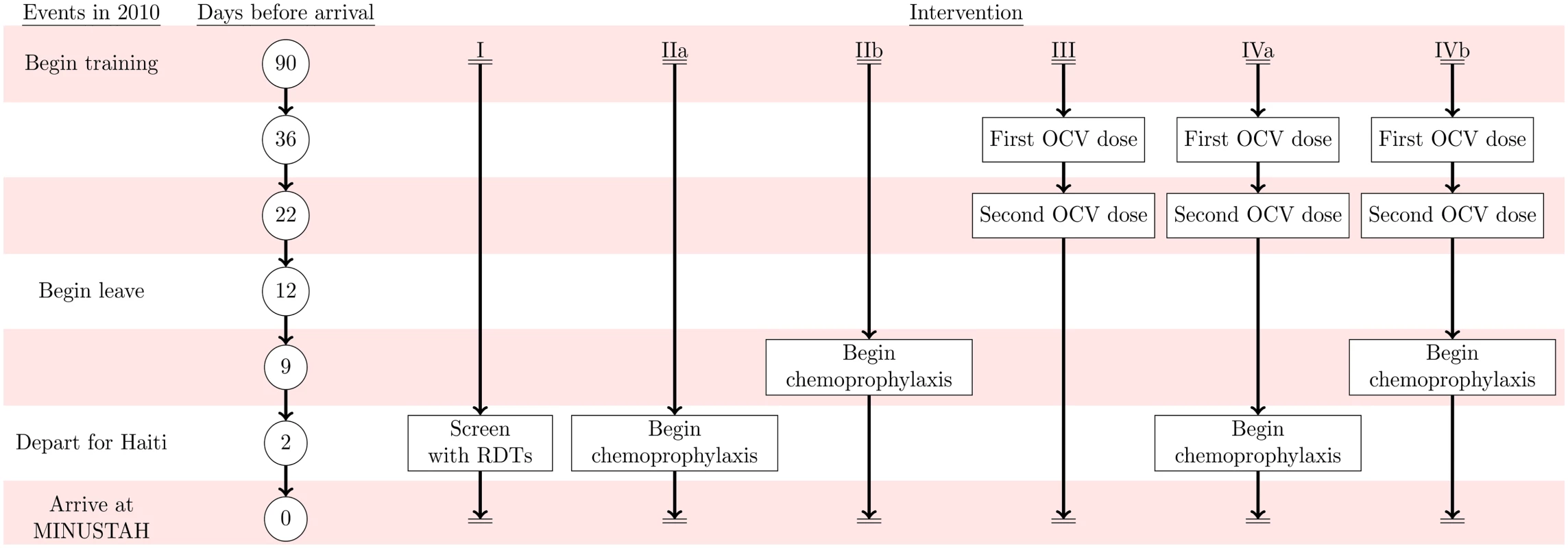 Intervention timeline.